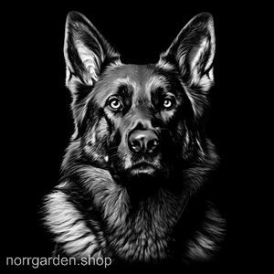 Underlägg i återvunnet skiffer med gravyr av Schäfer – för dig som älskar hundar