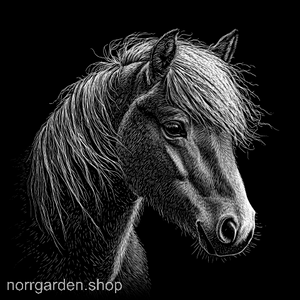 Underlägg i skiffer med gravyr av en Shetlandsponny – perfekt present till hästälskare