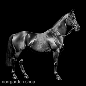 Personligt underlägg i skiffer med Standardbred – unik detalj i hemmet för hästvänner