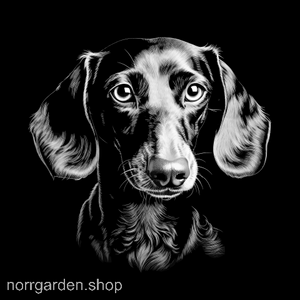 Lasergraverat underlägg i skiffer med Tax (Dachshund) – populär present bland hundägare