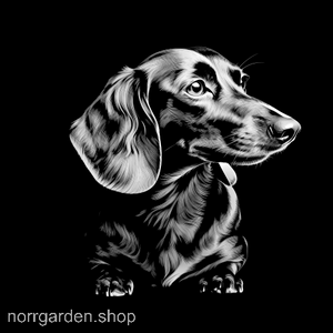 Exklusivt underlägg i skiffer med gravyr av Tax (Dachshund) – älskad av hundmänniskor