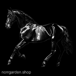 Lasergraverad skifferbricka med Tennessee walking horse – stilfull presentidé för ridintresserade