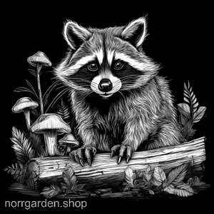 Lasergraverat underlägg i skiffer: tvättbjörn vid stubbe – en unik gåva till friluftsmänniskor