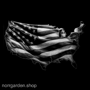 Underlägg i skiffer med motiv av flagga med USA form – perfekt för USA-fantasten.