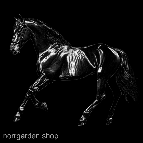 Lasergraverad skifferbricka med Tennessee walking horse – stilfull presentidé för ridintresserade